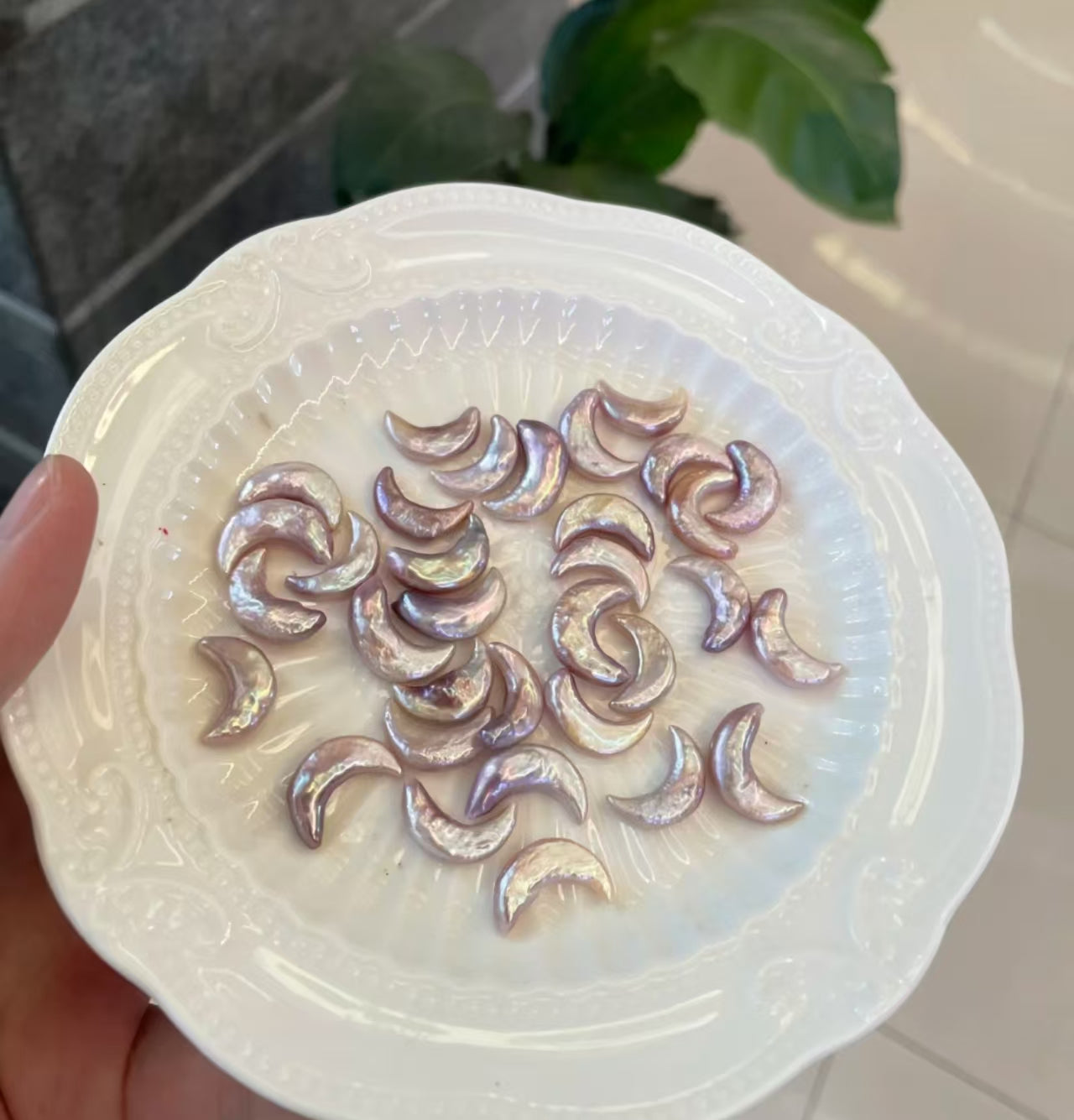 Moon Pearl Clam (2-6 Moon Pearls+1 Freshwater Edison Pearl per Clam) If there are less than 2, open another one for free